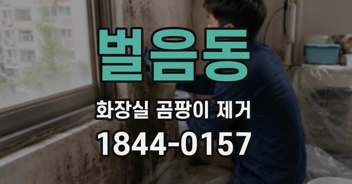 벌음동 화장실 곰팡이 제거
