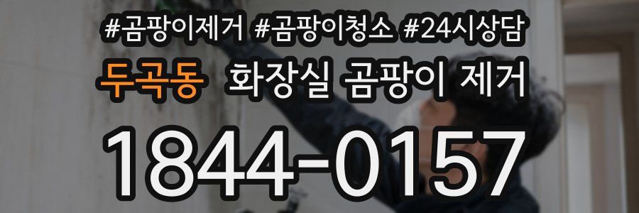 두곡동 화장실 곰팡이 제거
