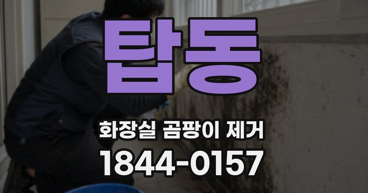 탑동 화장실 곰팡이 제거