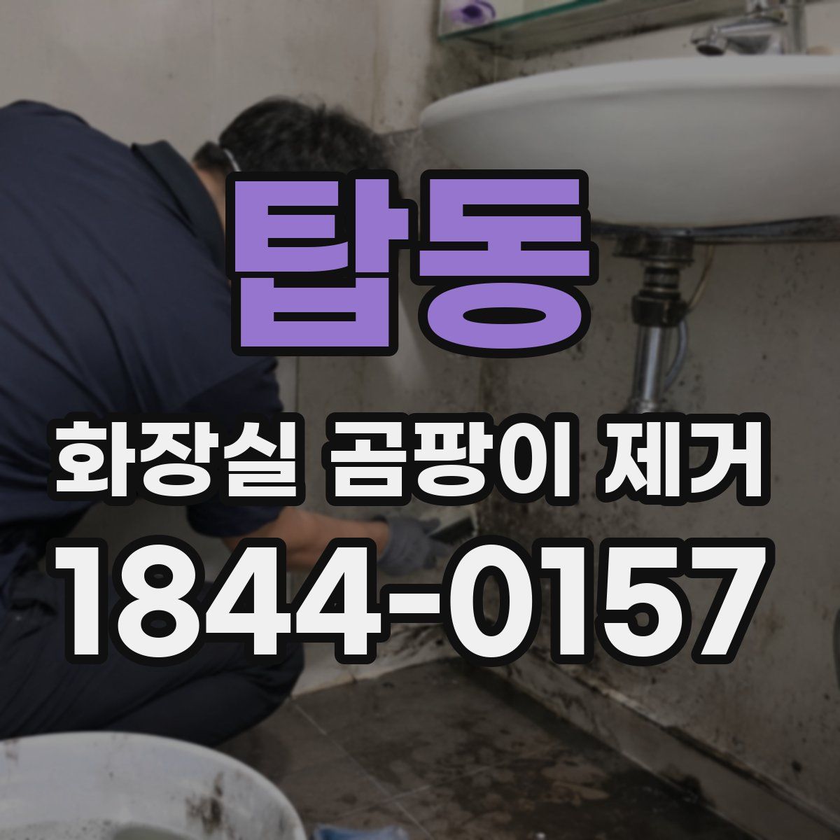 탑동 화장실 곰팡이 제거