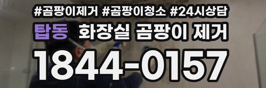 탑동 화장실 곰팡이 제거
