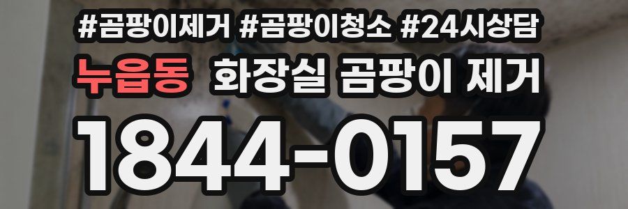 누읍동 화장실 곰팡이 제거