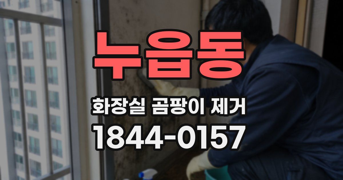 누읍동 화장실 곰팡이 제거