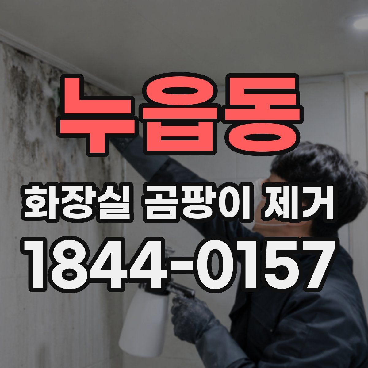 누읍동 화장실 곰팡이 제거