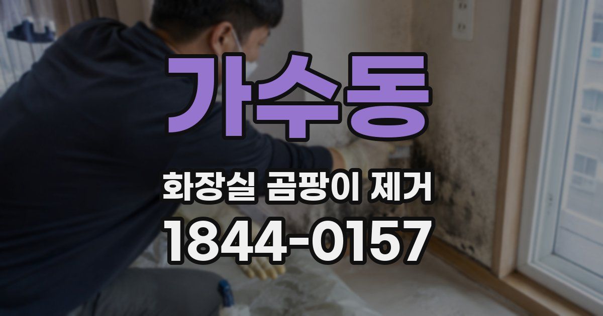 가수동 화장실 곰팡이 제거