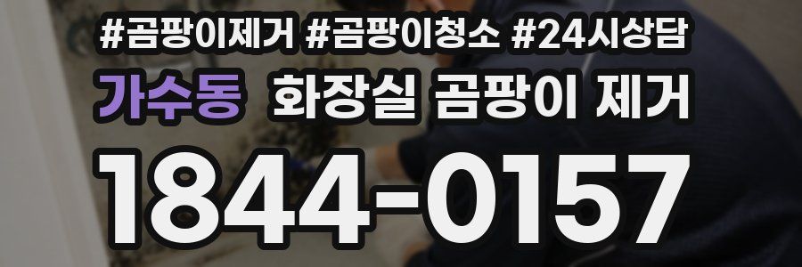 가수동 화장실 곰팡이 제거