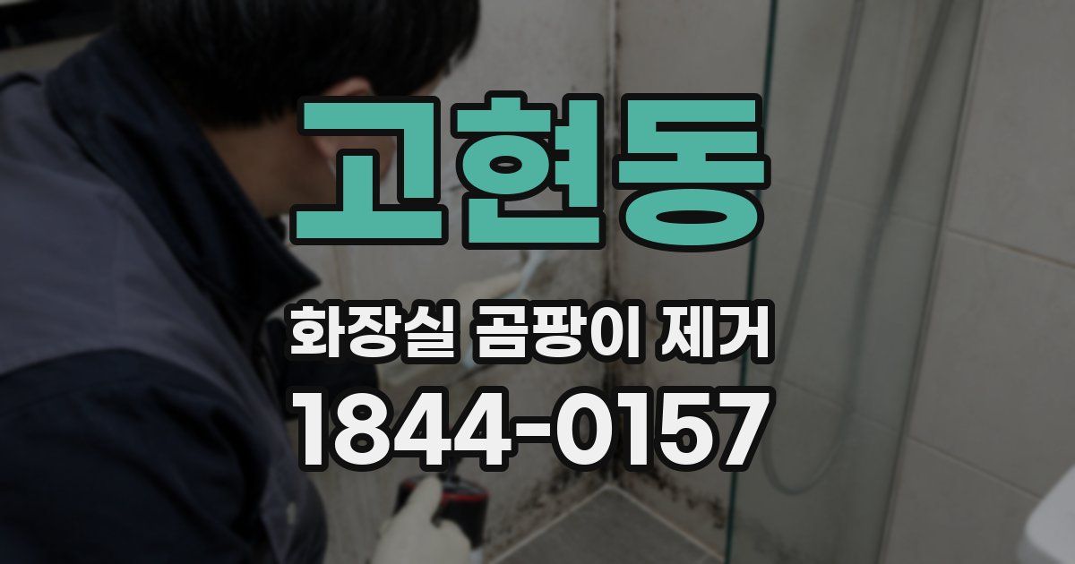 고현동 화장실 곰팡이 제거