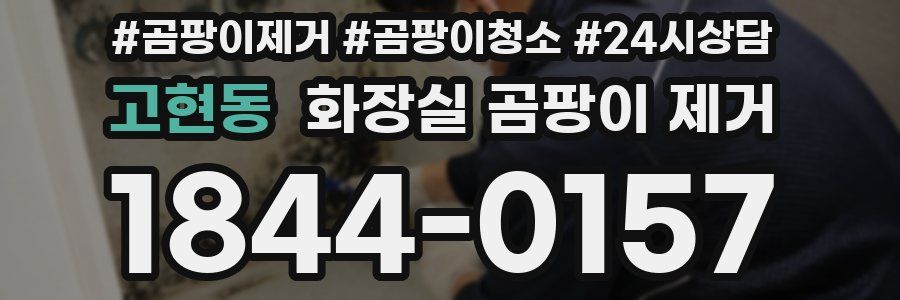 고현동 화장실 곰팡이 제거