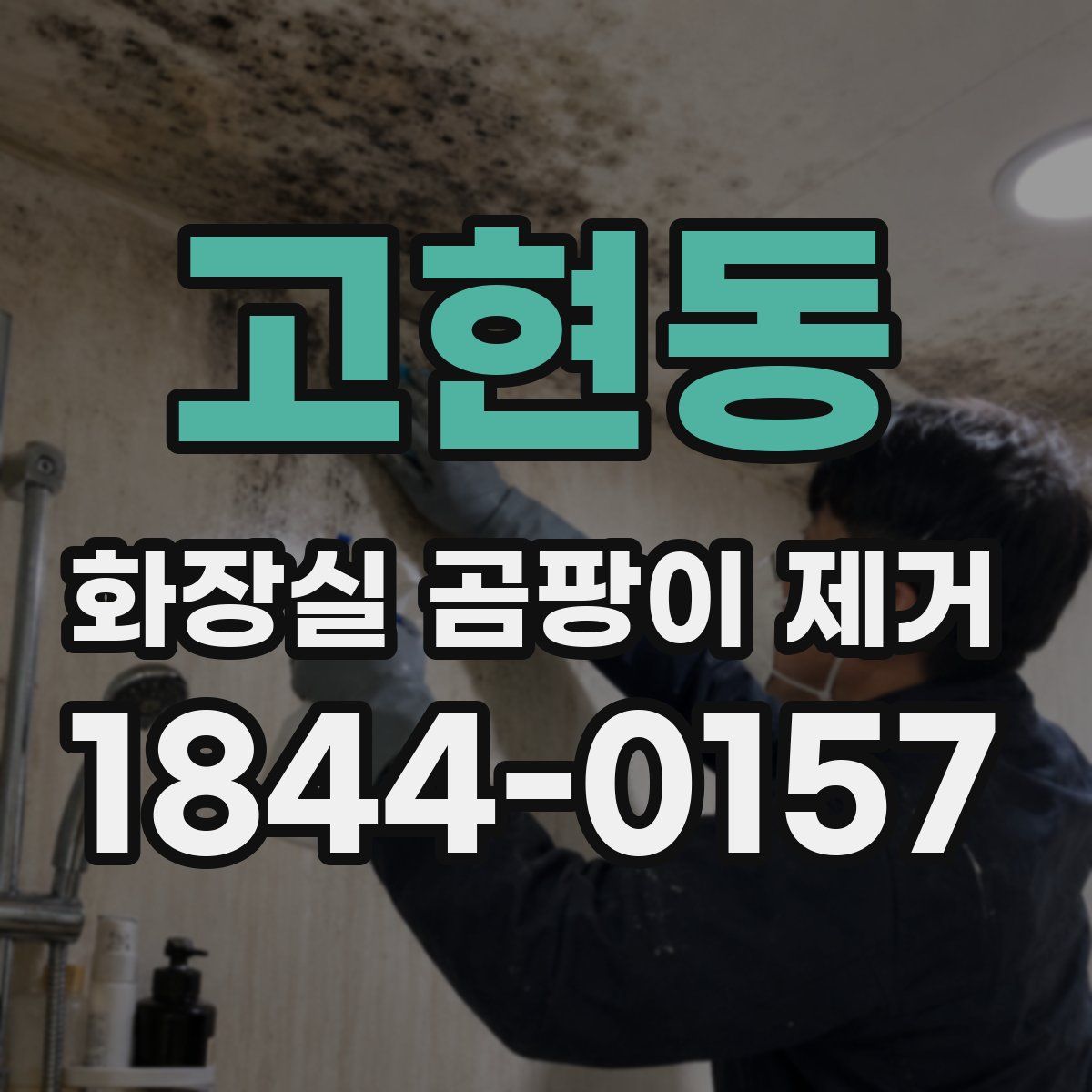 고현동 화장실 곰팡이 제거