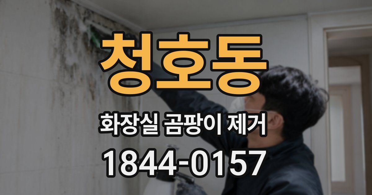 청호동 화장실 곰팡이 제거