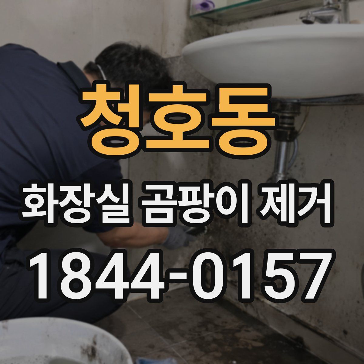 청호동 화장실 곰팡이 제거