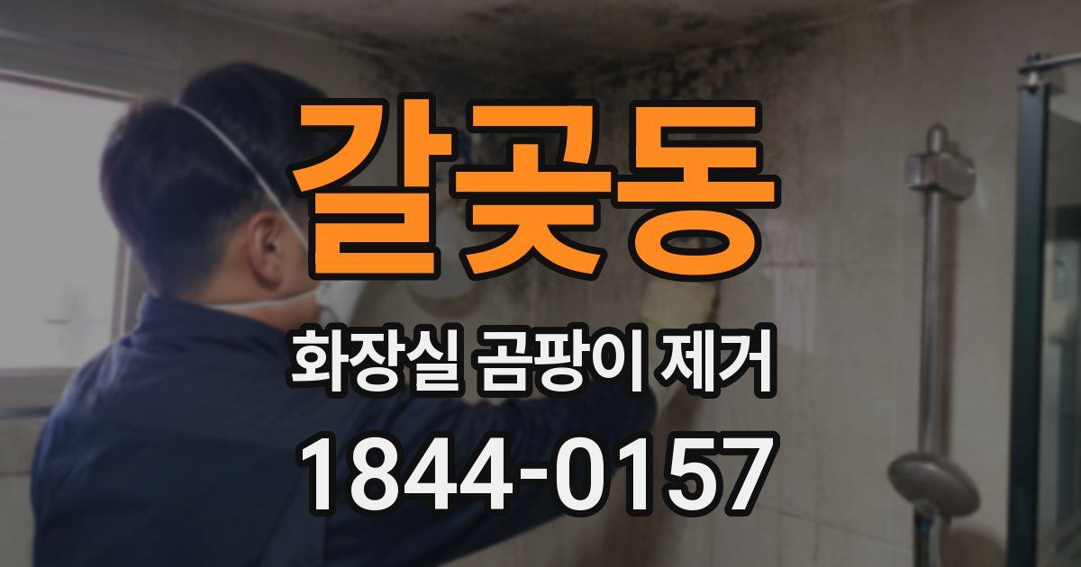 갈곶동 화장실 곰팡이 제거
