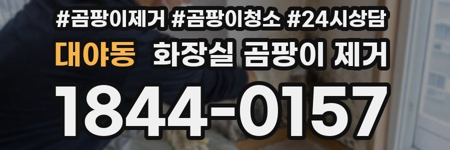 대야동 화장실 곰팡이 제거