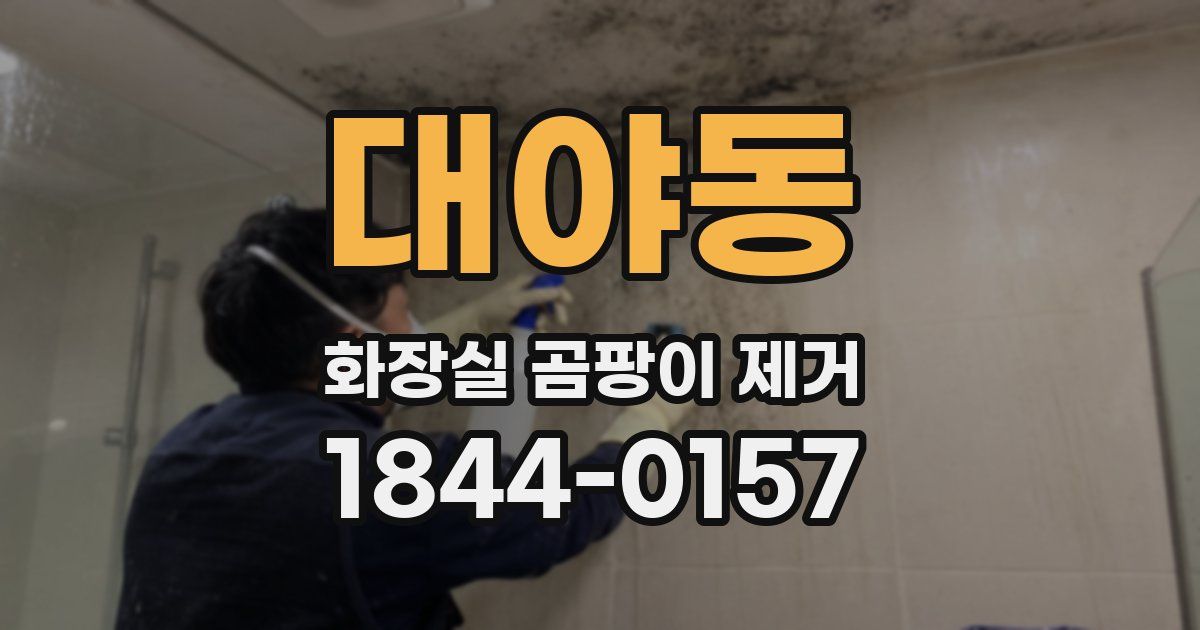 대야동 화장실 곰팡이 제거