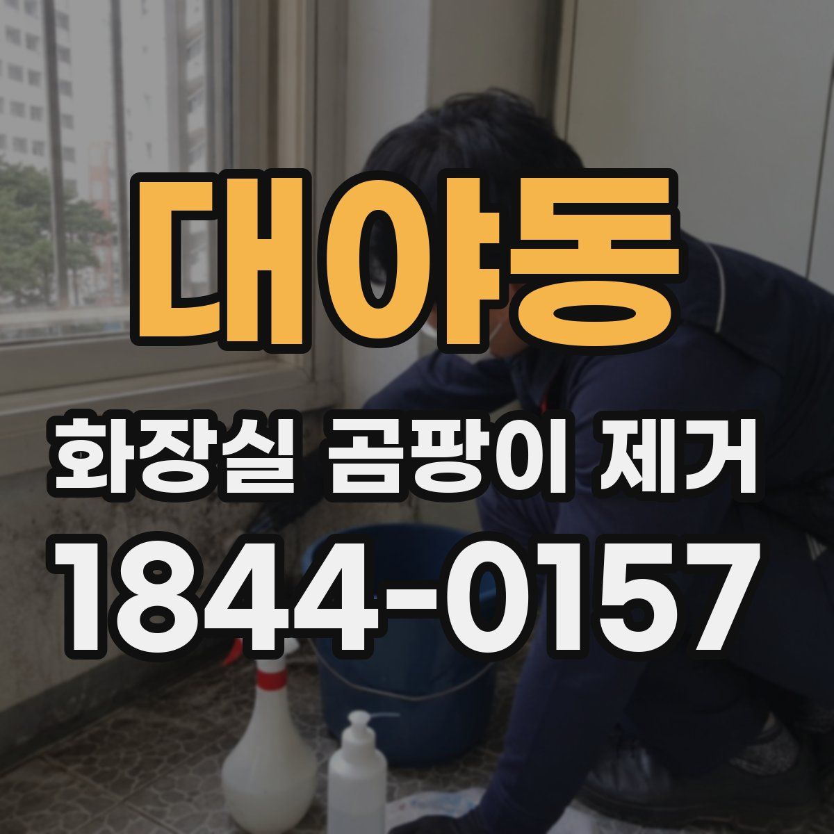 대야동 화장실 곰팡이 제거
