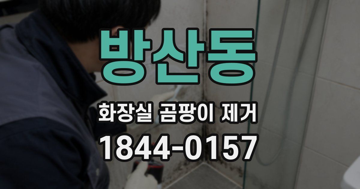 방산동 화장실 곰팡이 제거