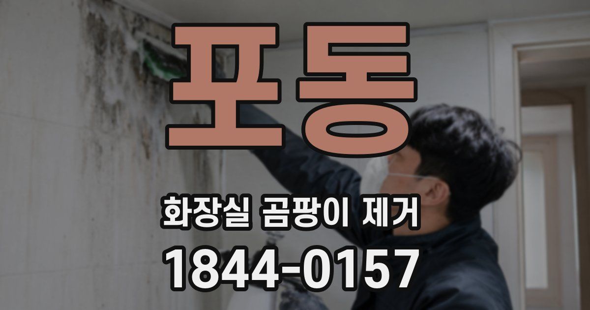 포동 화장실 곰팡이 제거