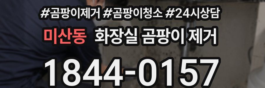 미산동 화장실 곰팡이 제거