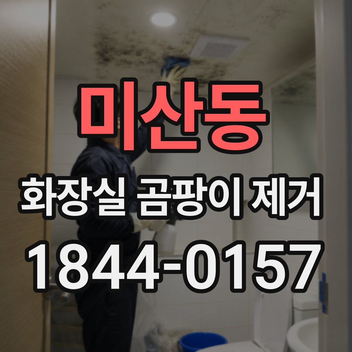 미산동 화장실 곰팡이 제거