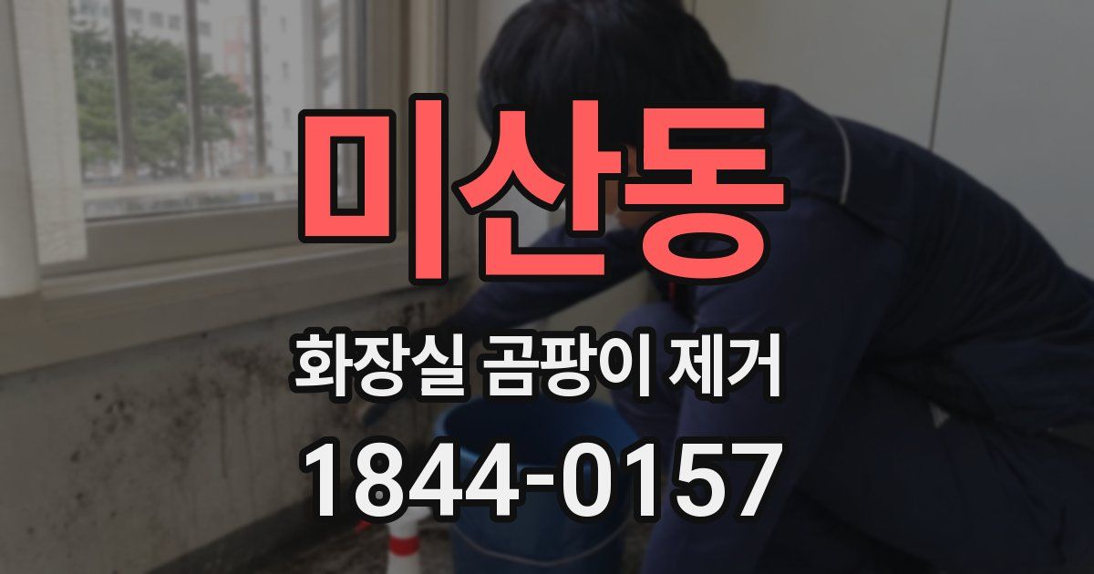 미산동 화장실 곰팡이 제거
