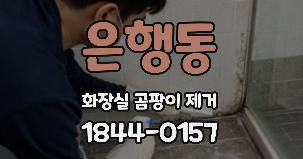 은행동 화장실 곰팡이 제거