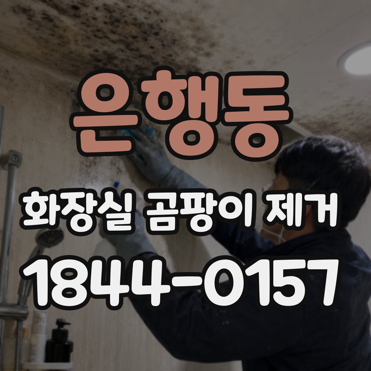 은행동 화장실 곰팡이 제거