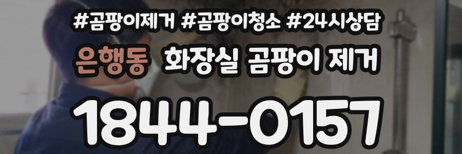 은행동 화장실 곰팡이 제거