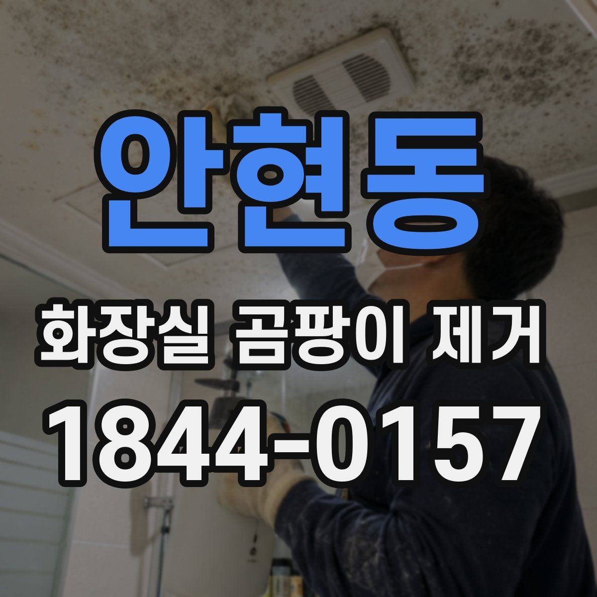 안현동 화장실 곰팡이 제거 타일 줄눈 깊은 오염을 다루는 실전 요령