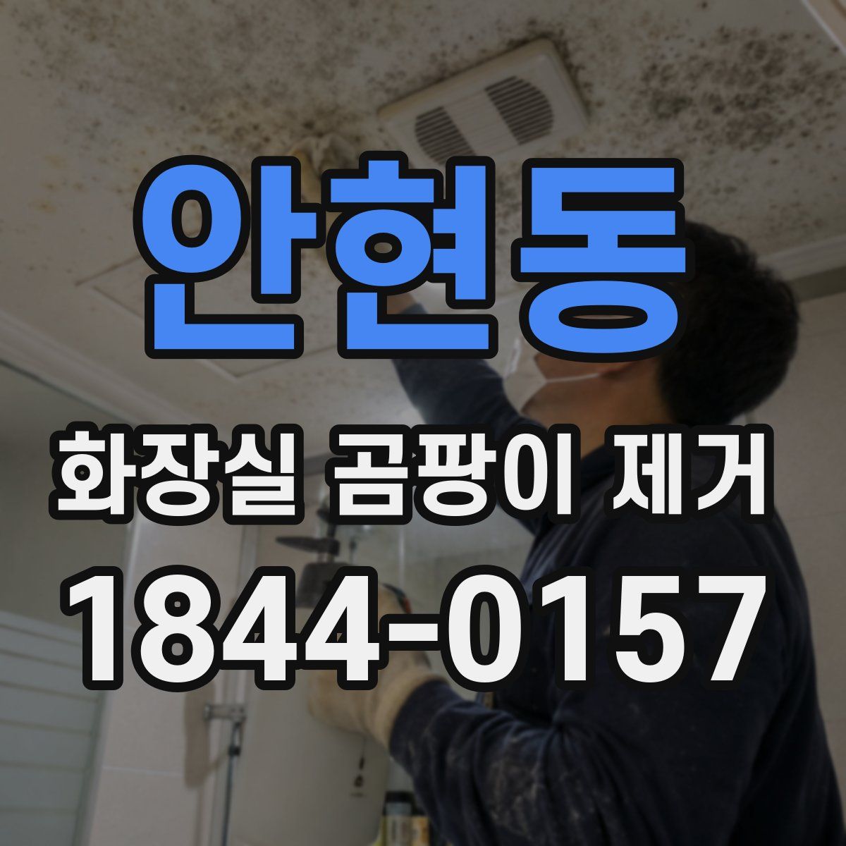 안현동 화장실 곰팡이 제거
