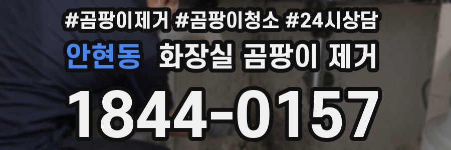안현동 화장실 곰팡이 제거
