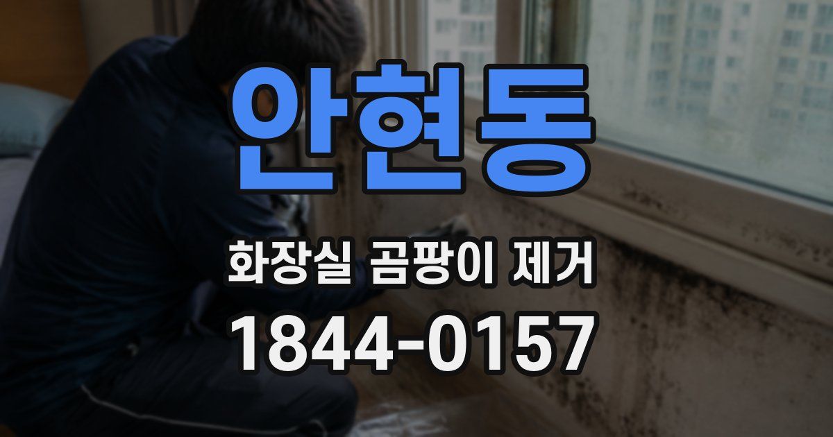 안현동 화장실 곰팡이 제거