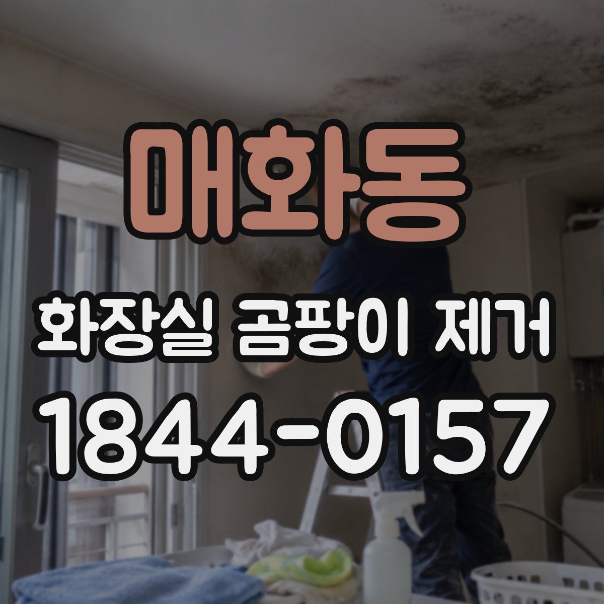 매화동 화장실 곰팡이 제거