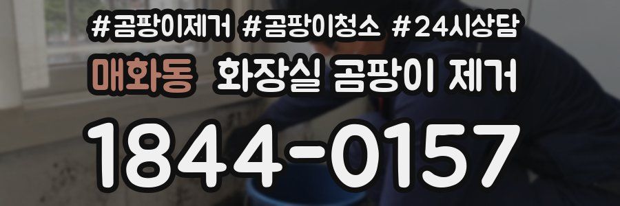 매화동 화장실 곰팡이 제거