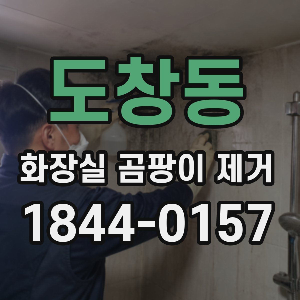 도창동 화장실 곰팡이 제거