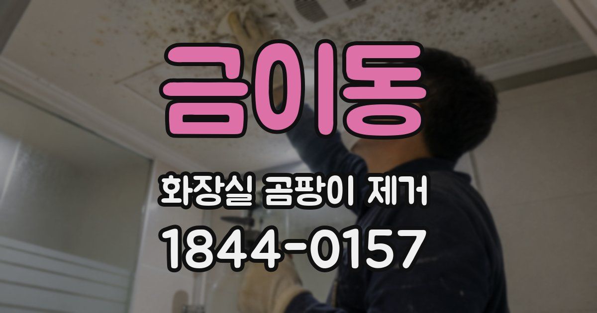 금이동 화장실 곰팡이 제거