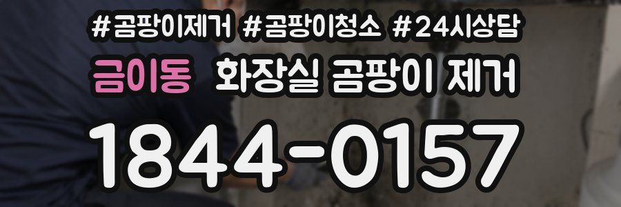 금이동 화장실 곰팡이 제거