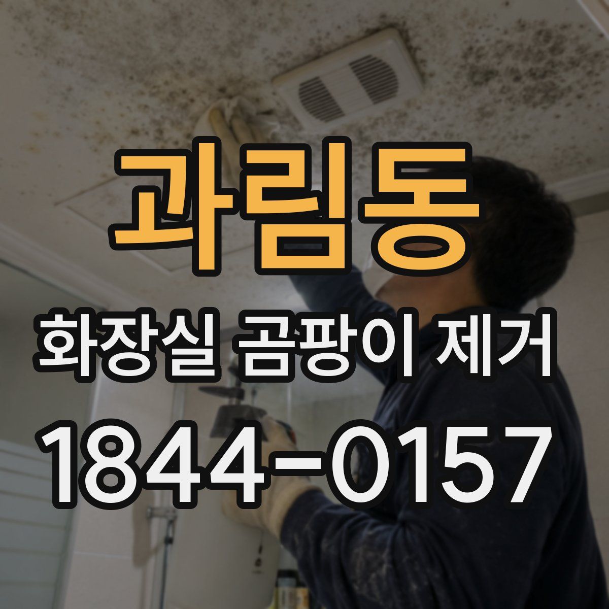 과림동 화장실 곰팡이 제거