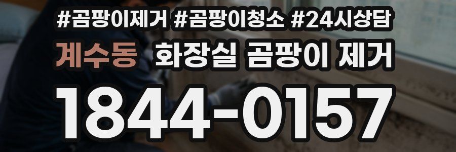계수동 화장실 곰팡이 제거