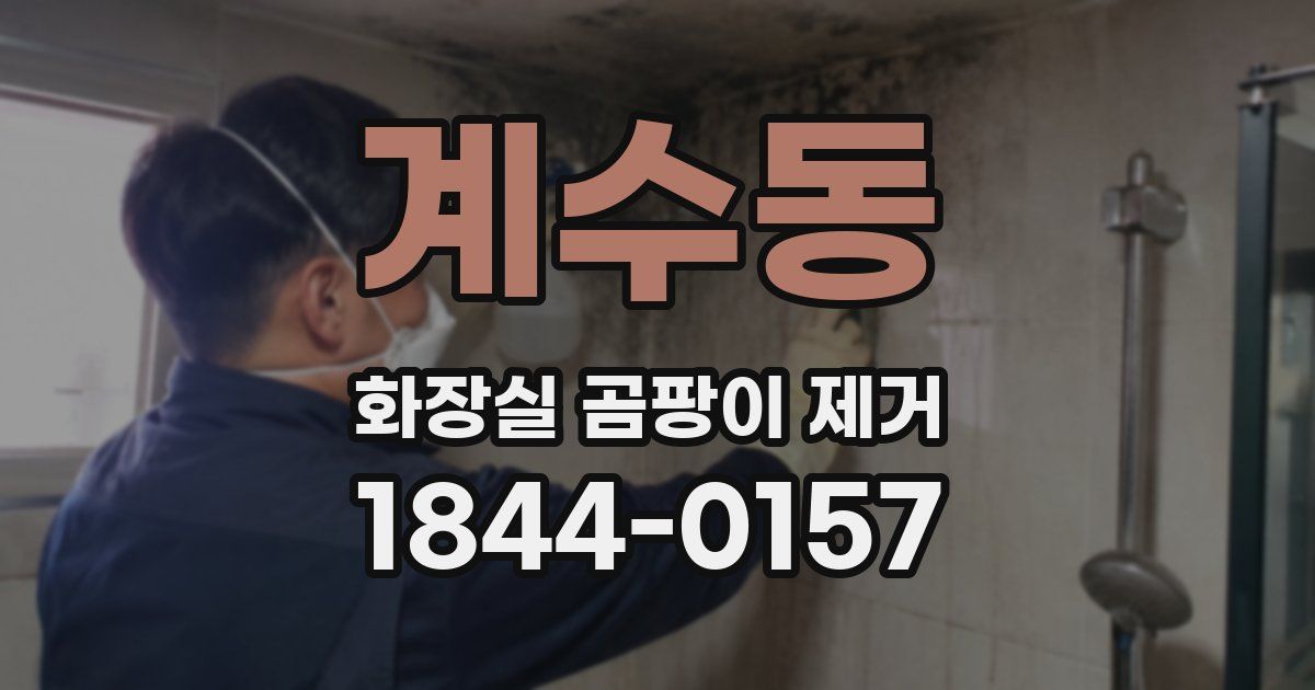 계수동 화장실 곰팡이 제거