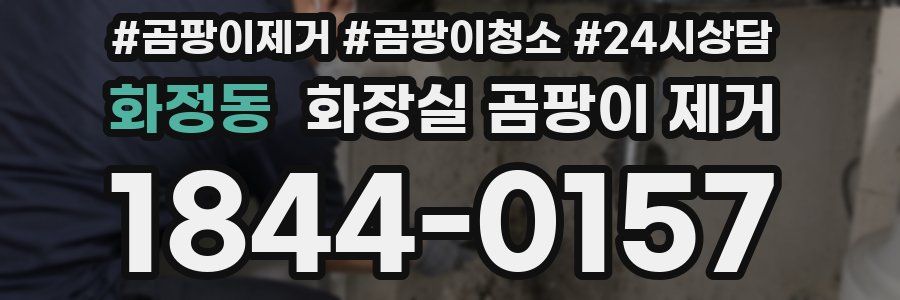 화정동 화장실 곰팡이 제거