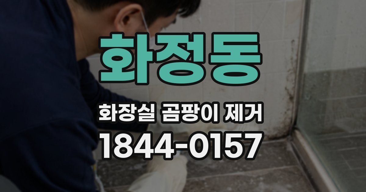 화정동 화장실 곰팡이 제거