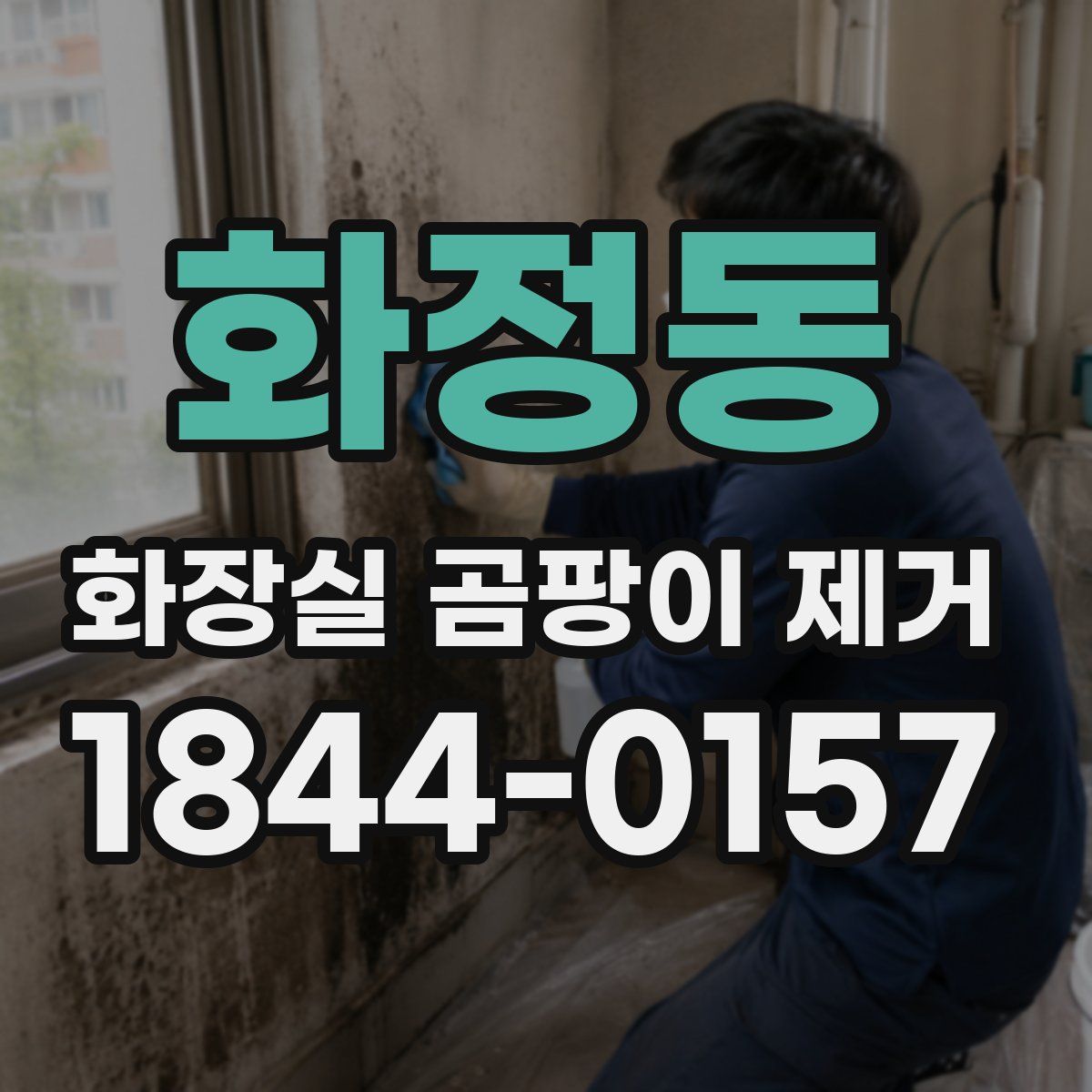 화정동 화장실 곰팡이 제거