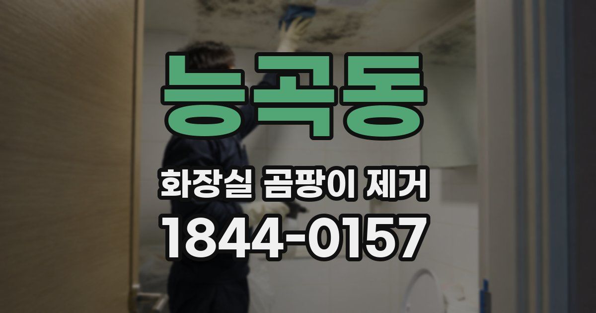 능곡동 화장실 곰팡이 제거