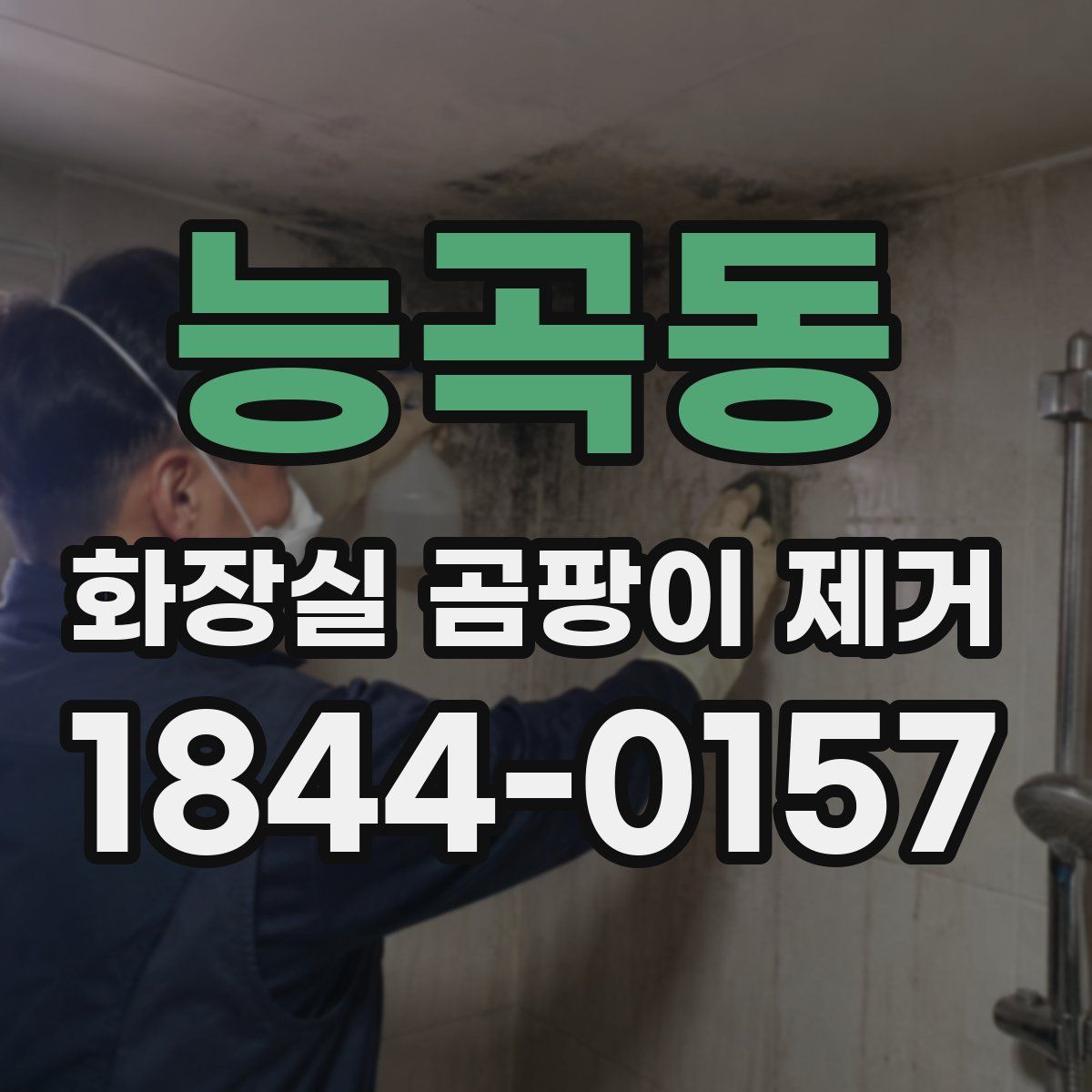 능곡동 화장실 곰팡이 제거