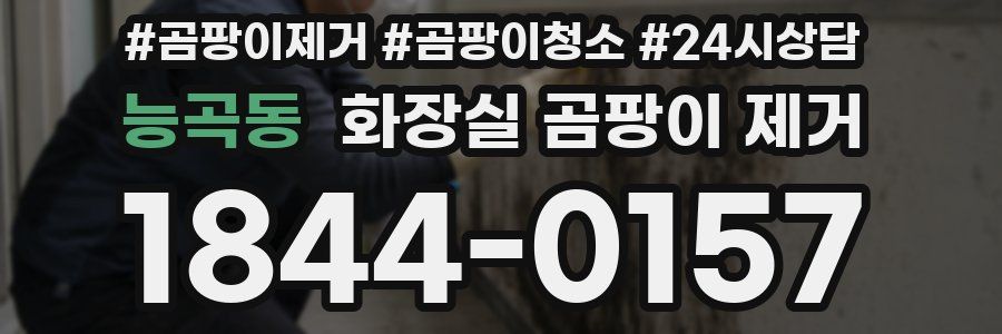 능곡동 화장실 곰팡이 제거