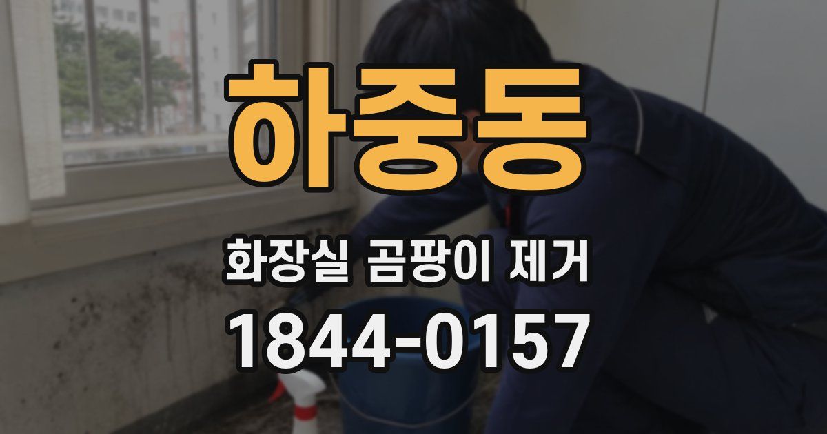 하중동 화장실 곰팡이 제거