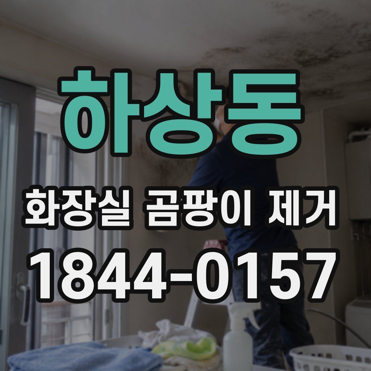 하상동 화장실 곰팡이 제거 셀프로 가능한 구간과 전문가 판단법