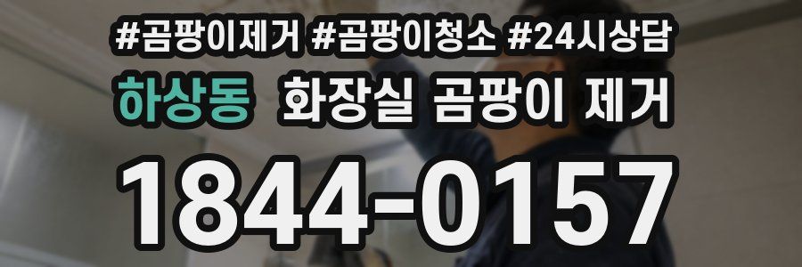 하상동 화장실 곰팡이 제거
