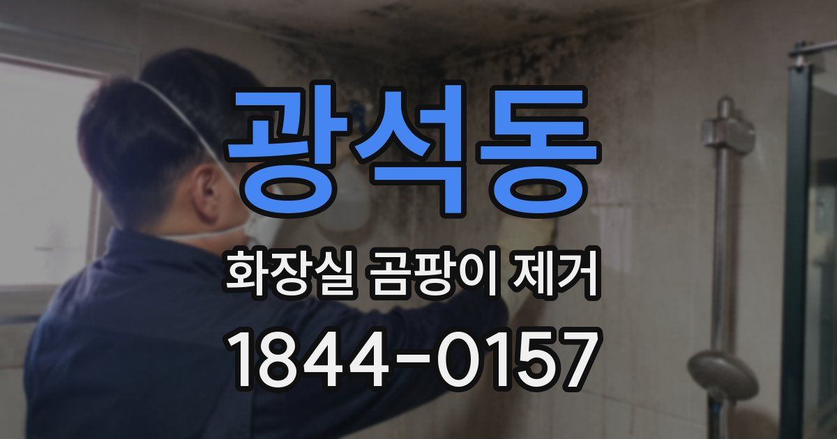 광석동 화장실 곰팡이 제거