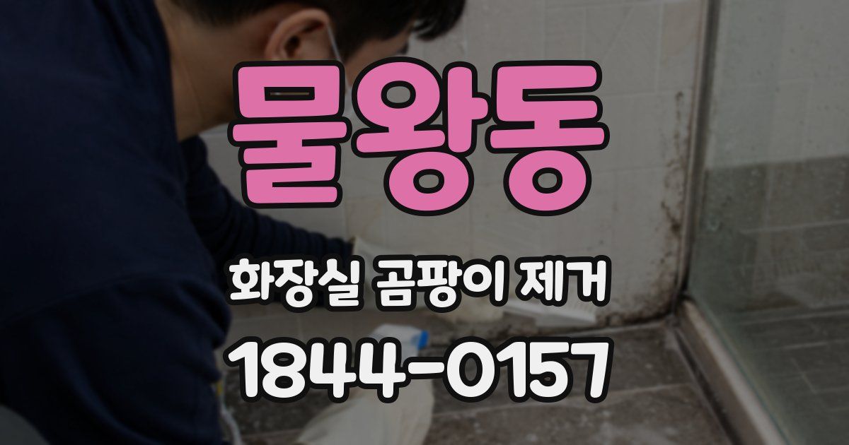물왕동 화장실 곰팡이 제거